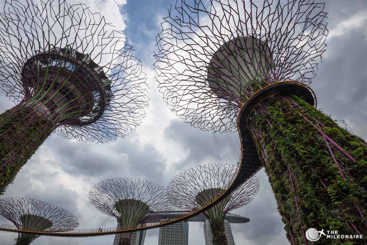 skytrees-singapur.jpg