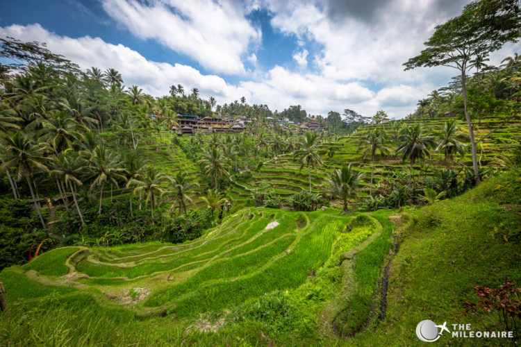 tegalalang bali