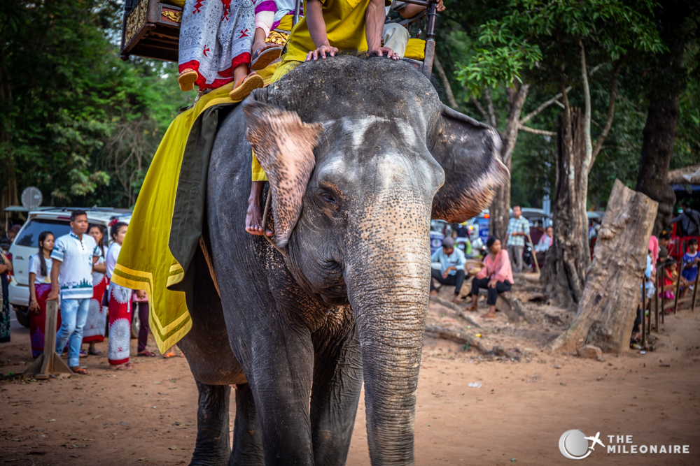 elephant-angkor-wat.jpg
