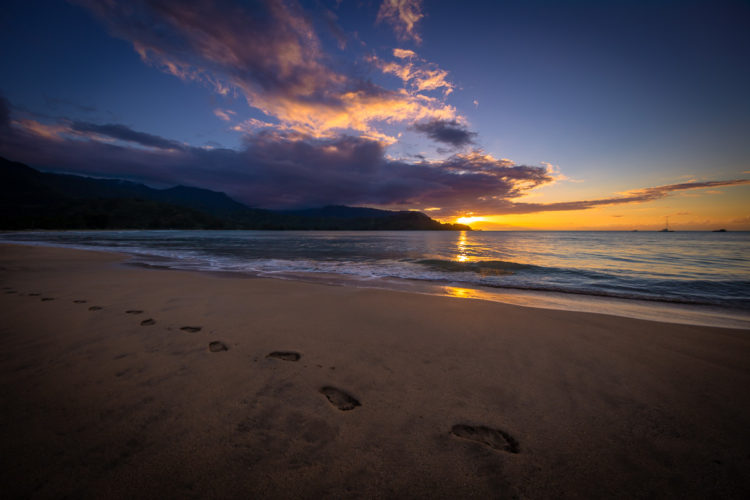 hanalei beach