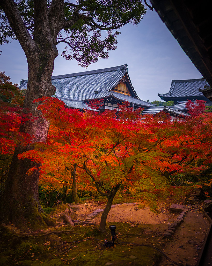 japan-fall-colors.jpg