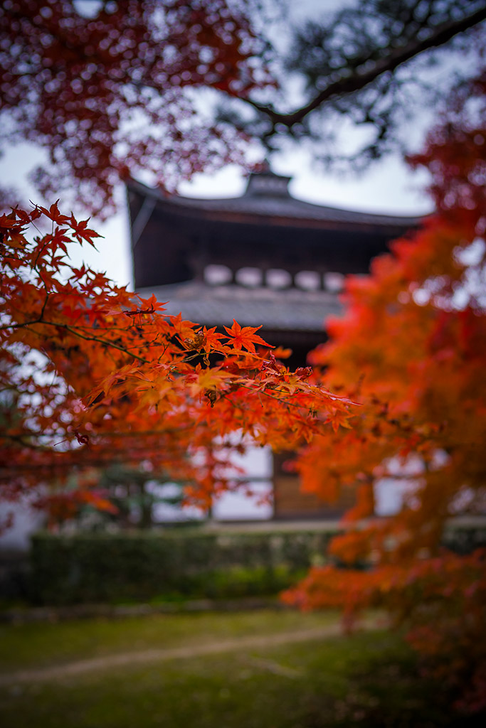 japanese-autumn.jpg