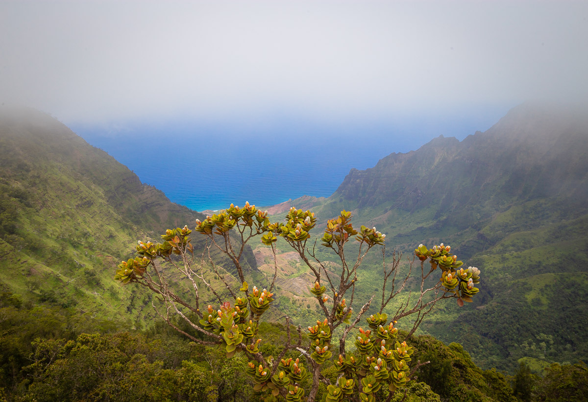 na pali valley lookout