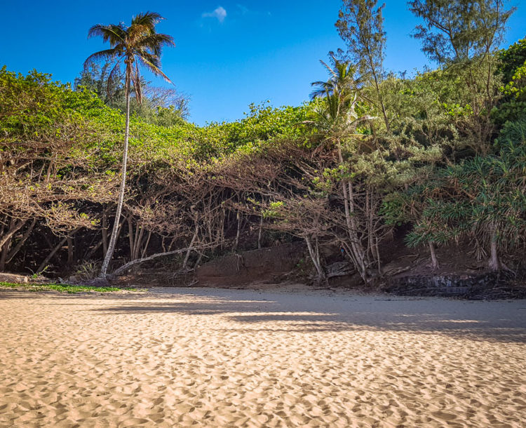 path to kauai secret beach