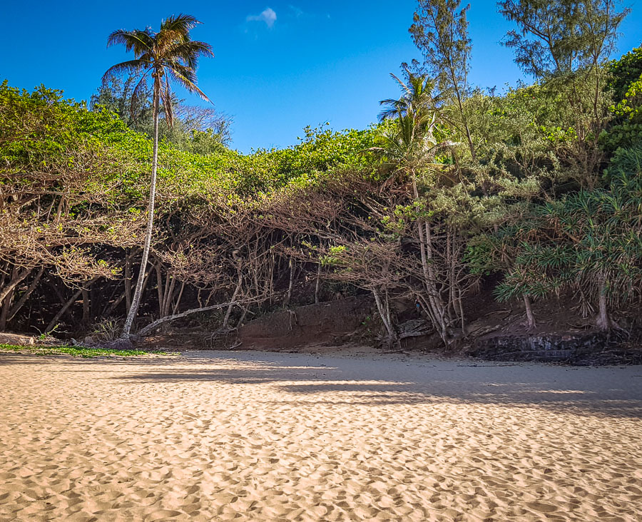 path-to-kauai-secret-beach.jpg