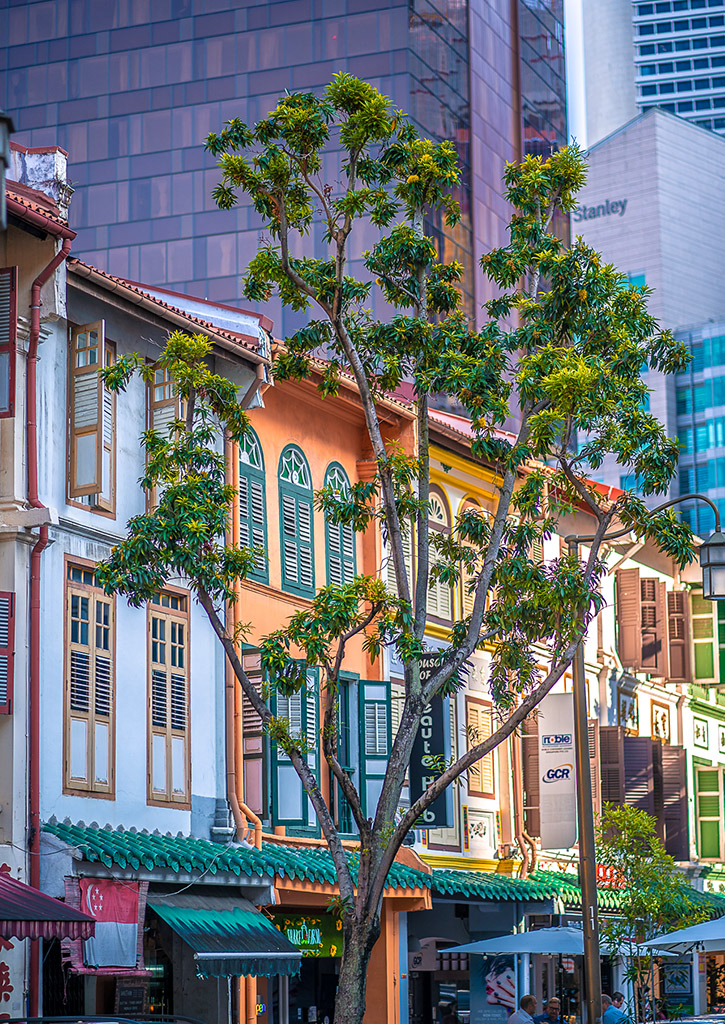 singapore-colorful-buildings.jpg