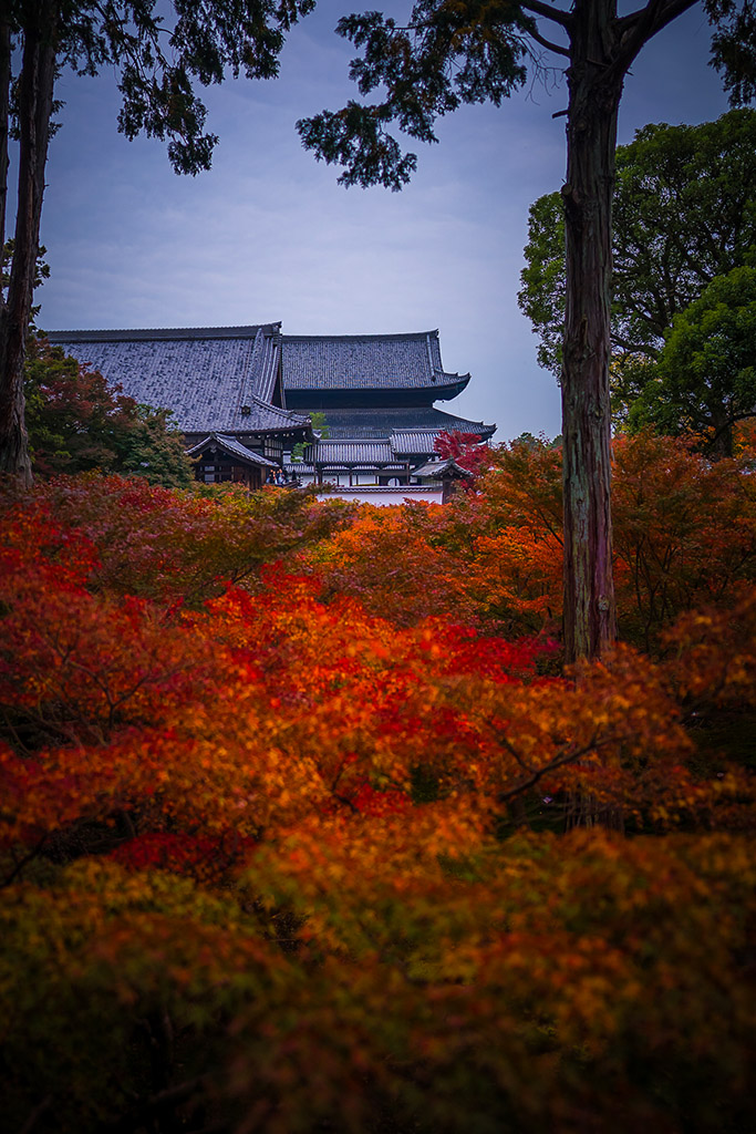 tofukuji-temple.jpg