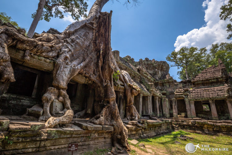 preah khan tree