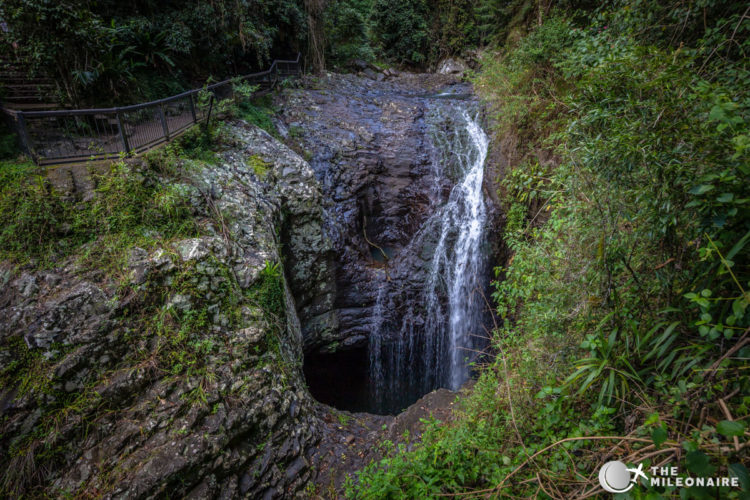 spring brook np waterfall