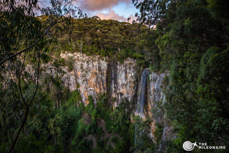 waterfall outlook springbrook